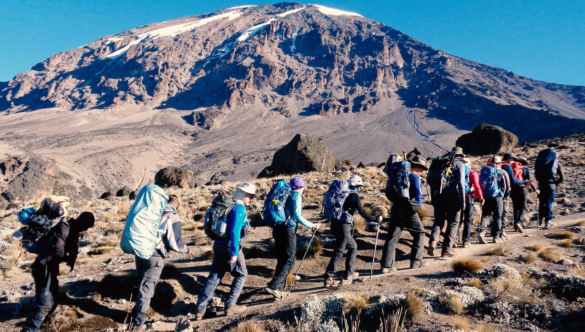 8 days Lemosho route